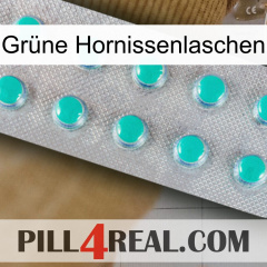 Grüne Hornissenlaschen 28